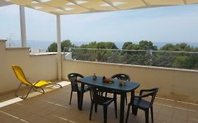 Vacanza Lido Conchiglie